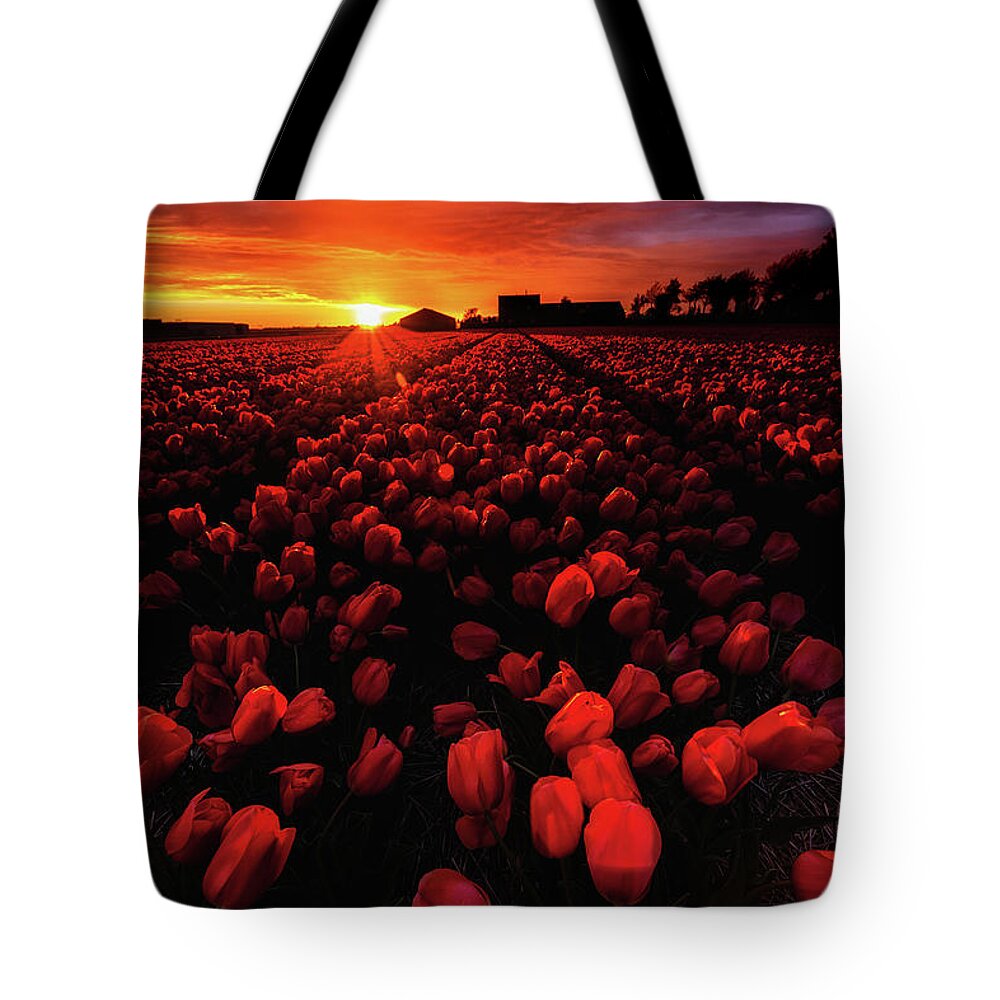 Landscape Tote Bag featuring the photograph Sunset fire by Jorge Maia