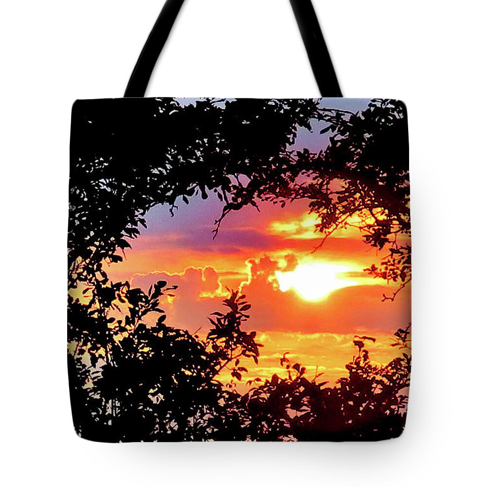 Sunset Tote Bag featuring the photograph Sunset Framed by Nature by Linda Stern