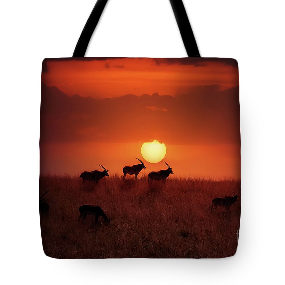 Oryx Tote Bag featuring the photograph Sunset Herd by Ed Taylor