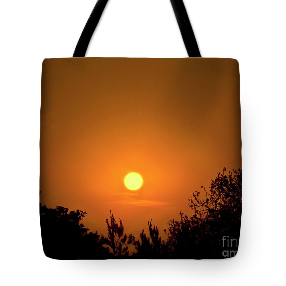 Sunset Sun Setting Red Orange Vivid Yellow Impressive Stylish Silhouette Japanese Style Trees Bushes Sky Symmetrical Symmetry Equilateral Equilibrium Harmonious Stunning Tranquil Dawn Sunrise Beautiful Delightful Magnificent Landscape Bright Vibrant Delicate Serene Alone Solitary Scenic Decor Decorative Hot Irradiation Irradiate Minimal Minimalist Minimalism Mindfulness Nature Abstract Art Artistic Picturesque Mind-blowing Effective Colorful Painterly Painting Silhouettes Atmospheric Aesthetic Tote Bag featuring the photograph Hot Color Symphony - Sunset In Japanese Style by Tatiana Bogracheva