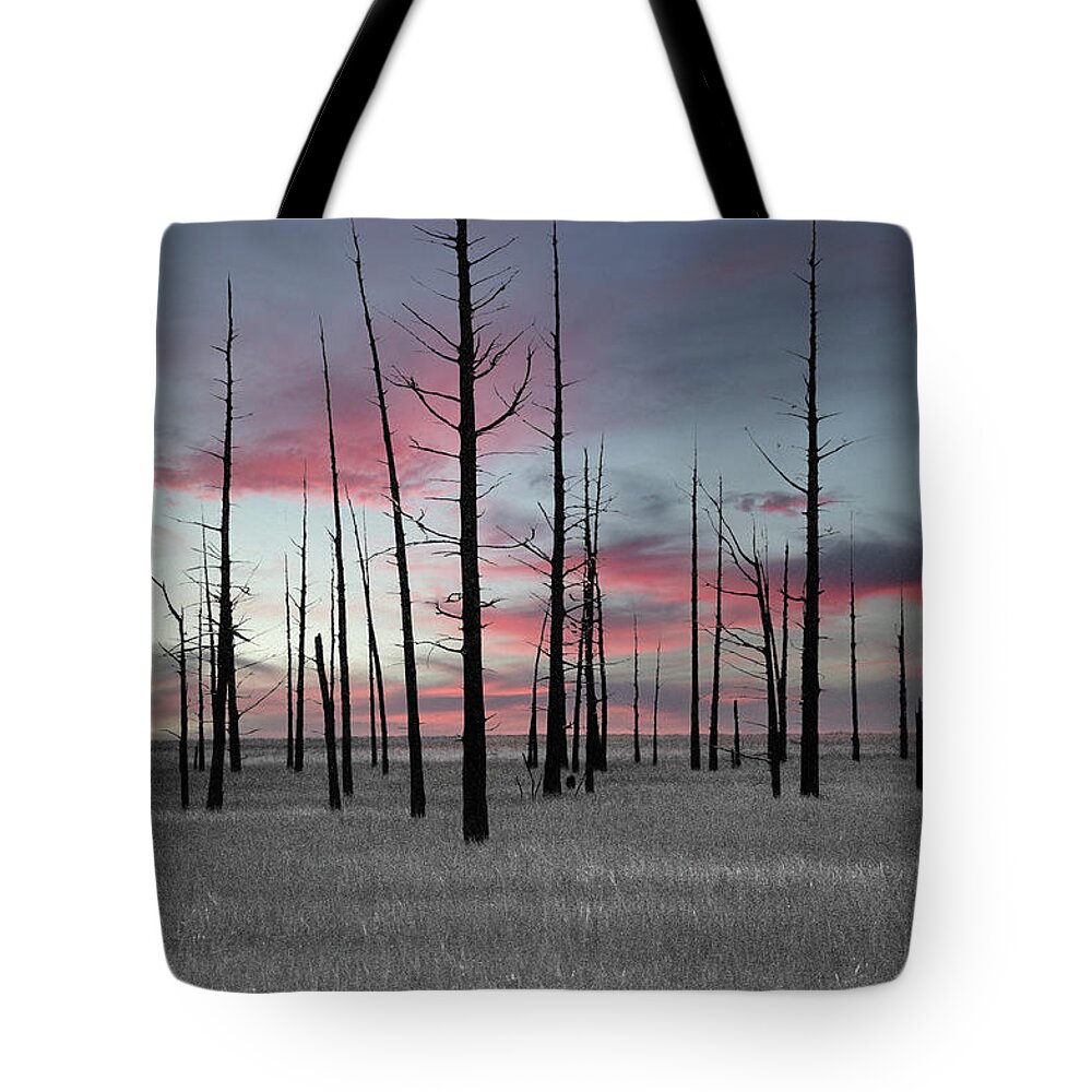 Art Tote Bag featuring the photograph Sunset in the Cedar Swamp by Louis Dallara