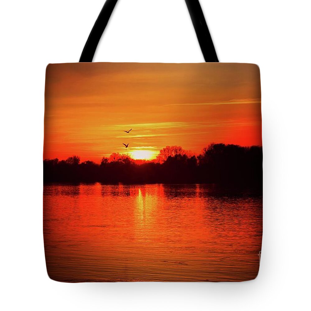 Harmony Tote Bag featuring the photograph Sunset Love III by Leonida Arte
