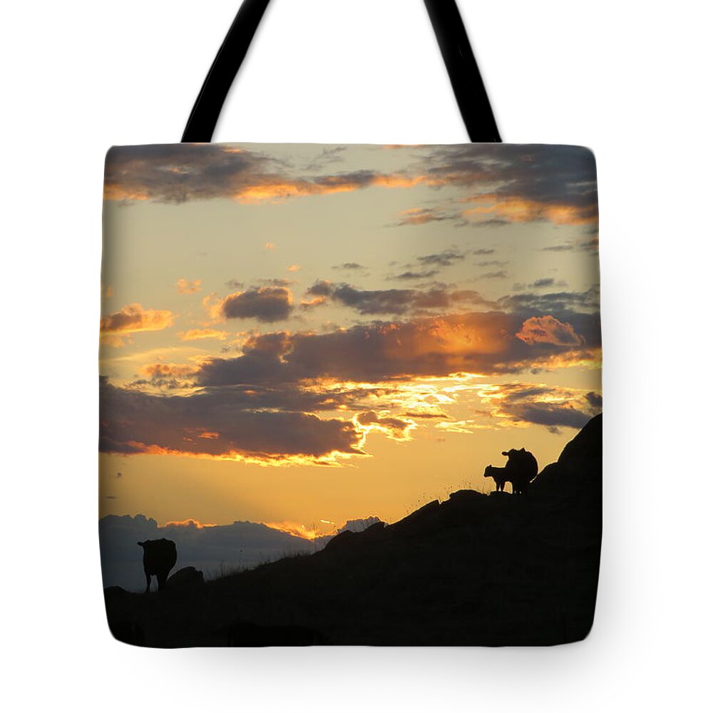 Cattle Tote Bag featuring the photograph Sunset Lullaby by Katie Keenan
