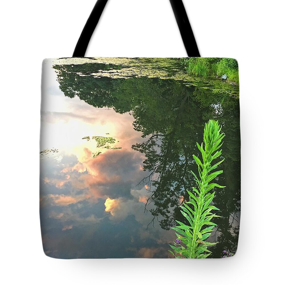 Sunset Tote Bag featuring the photograph Sunset on the Green by Lisa Pearlman