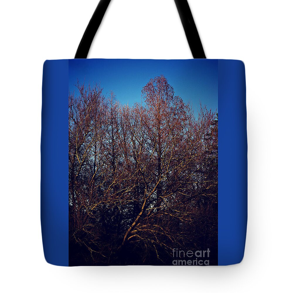 Nature Tote Bag featuring the photograph Sunset on the Woods by Frank J Casella