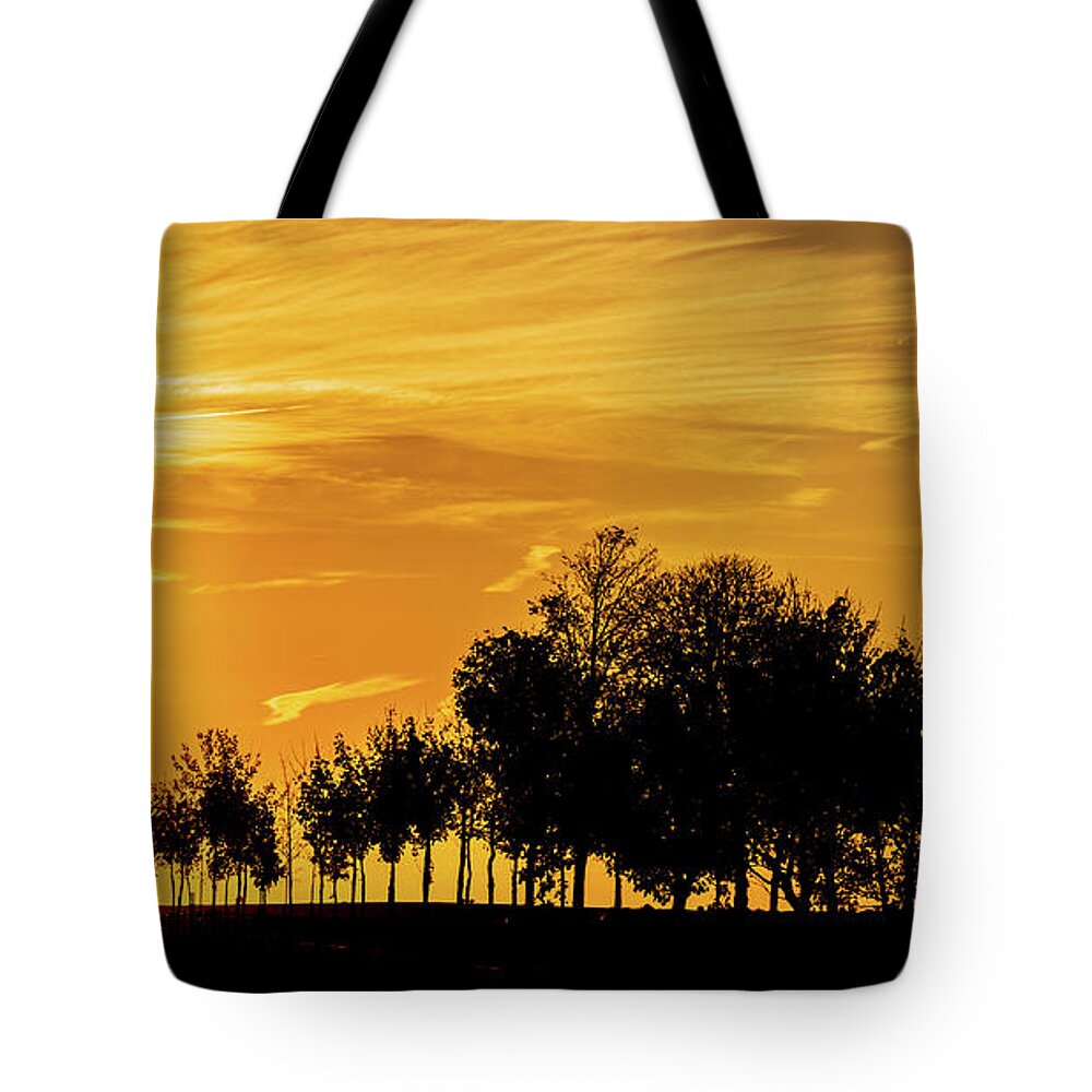 Golden Sky Tote Bag featuring the photograph Sunset sky and silhouette of trees by Fabiano Di Paolo