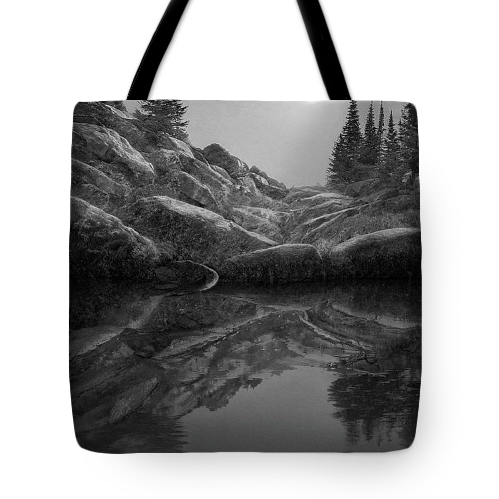 Sunset Spruces Reflections Tote Bag featuring the photograph Sunset Spruces Reflections BW by Frank Wilson