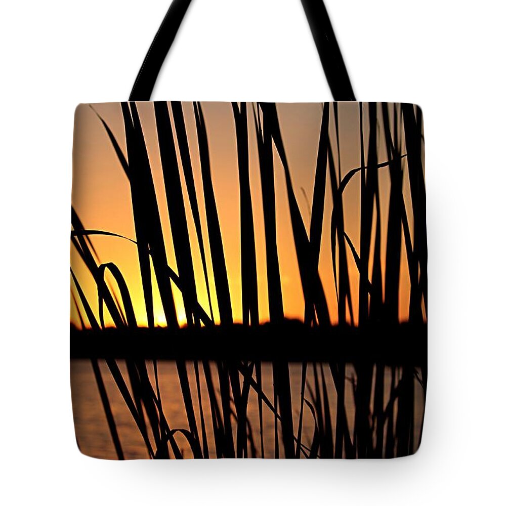 Sunset Tote Bag featuring the photograph Sunset Through the Reeds by Mary Walchuck
