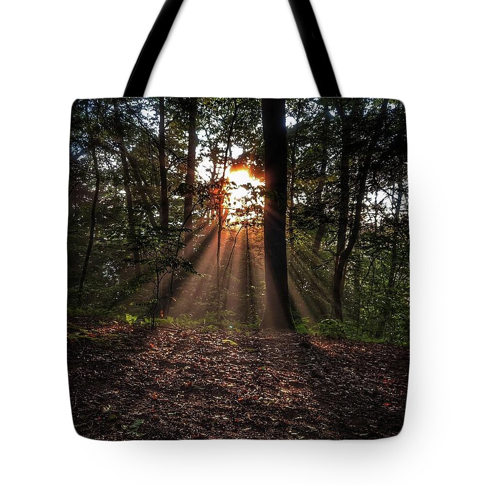 Photo Tote Bag featuring the photograph Sunset through the Trees by Evan Foster