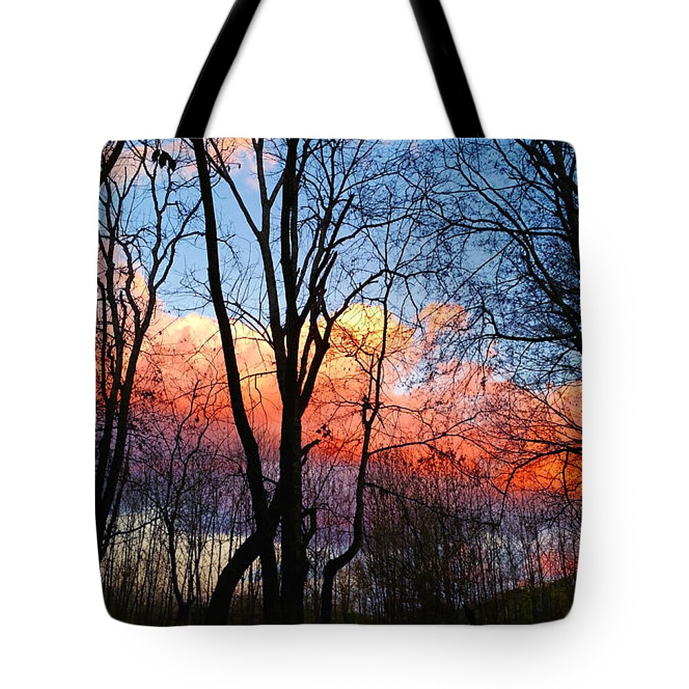 Nature Tote Bag featuring the photograph Sunset Through the Woods by Ally White