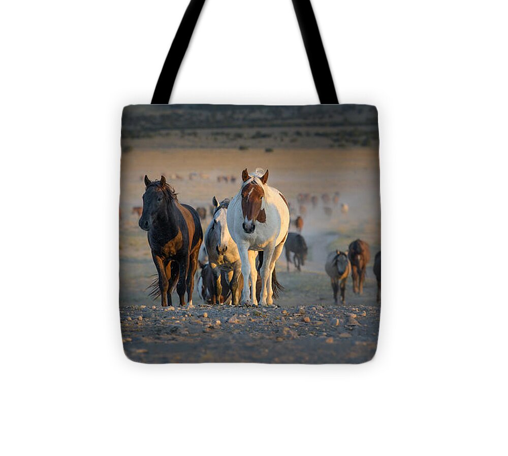 Onaqui Tote Bag featuring the photograph Sunset Water Call by Lisa Manifold