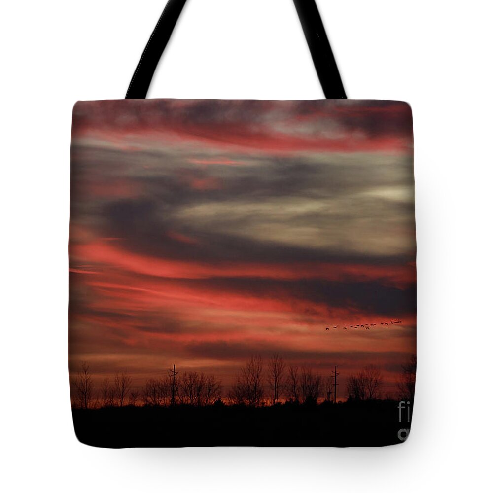 Geese Tote Bag featuring the photograph Sunset with Geese by Paula Guttilla