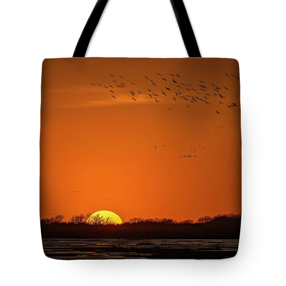 Sandhill Cranes Tote Bag featuring the photograph Sunset With the Sandhills by Laura Hedien