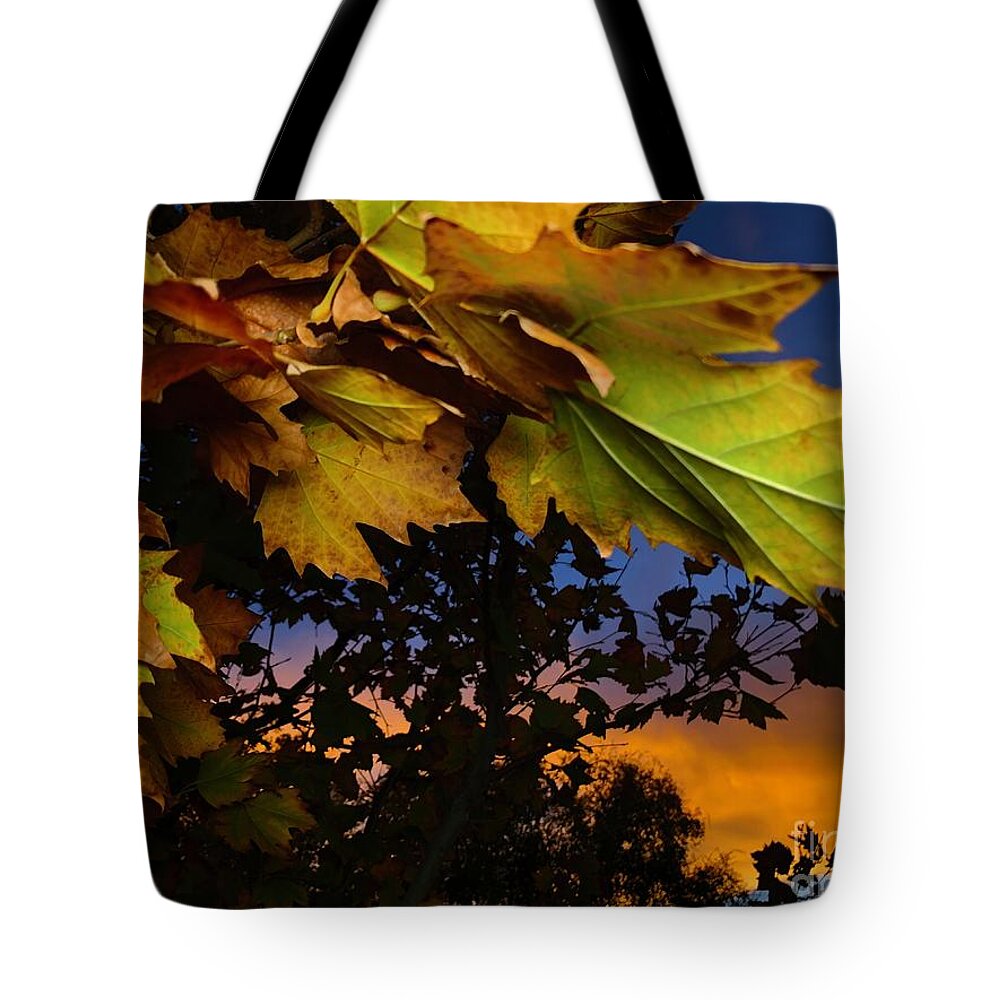 San Bernardino Tote Bag featuring the photograph Sunsets vs Fall by Chris Tarpening