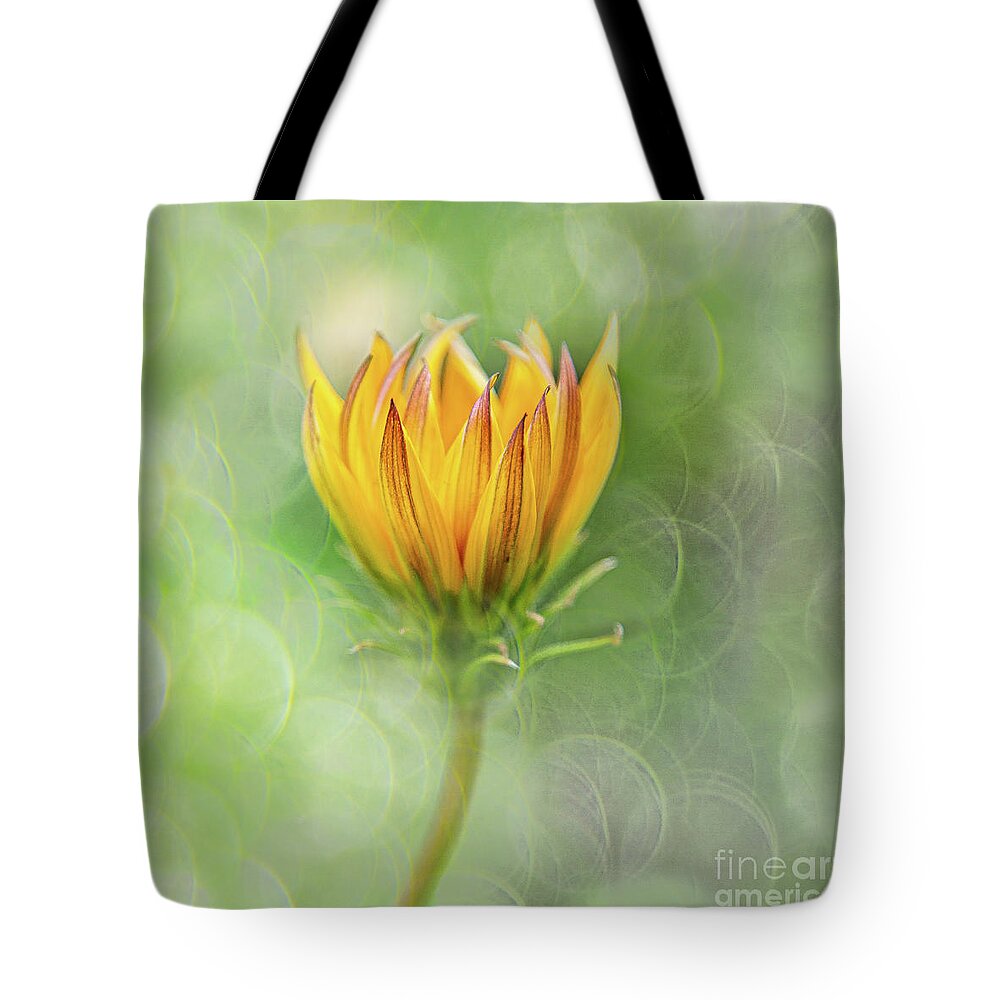 Gardens Tote Bag featuring the photograph Sunshine Day by Marilyn Cornwell