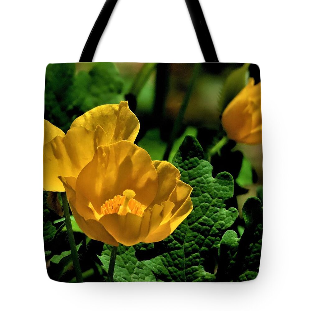 Flowers Tote Bag featuring the photograph Sunshine Yellow Blooms by Linda Stern