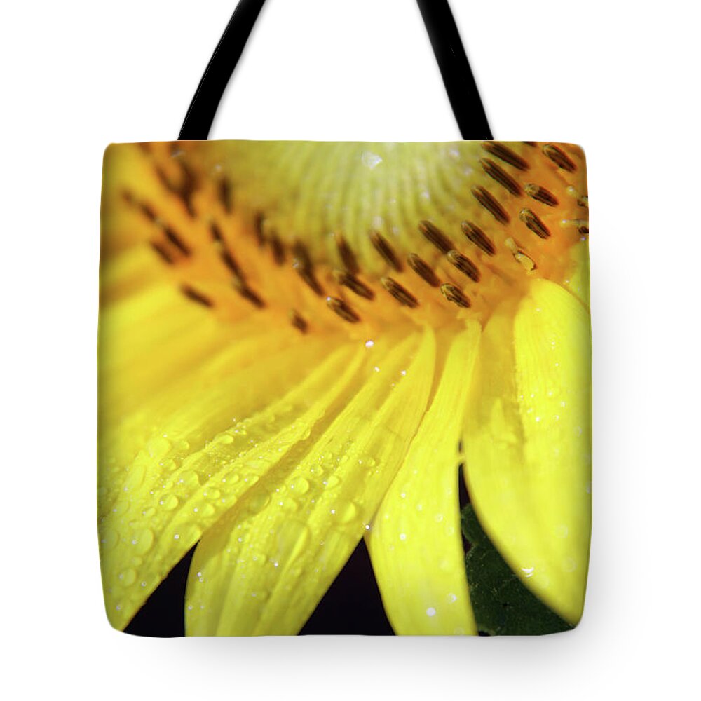 Sunflower Tote Bag featuring the photograph Sunswagger by Carolyn Stagger Cokley