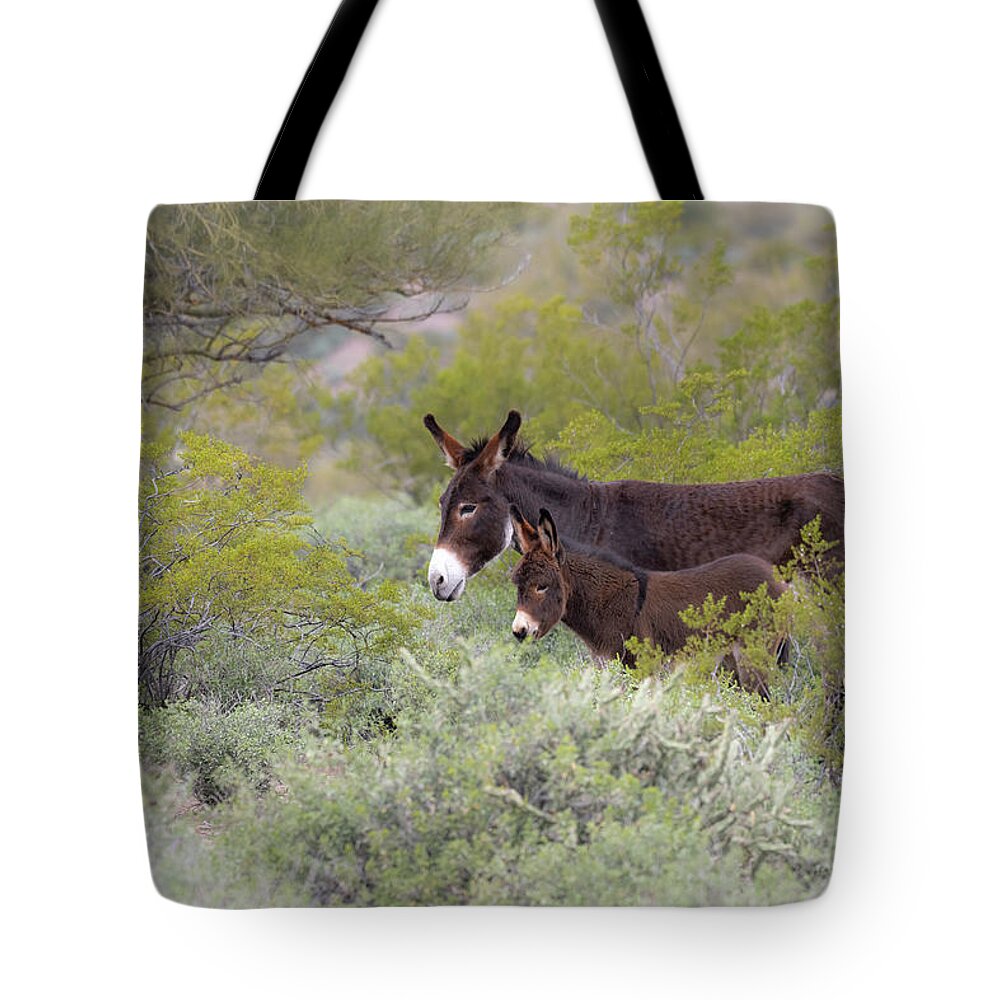 Wild Burro Tote Bag featuring the photograph Surrounded by Mary Hone
