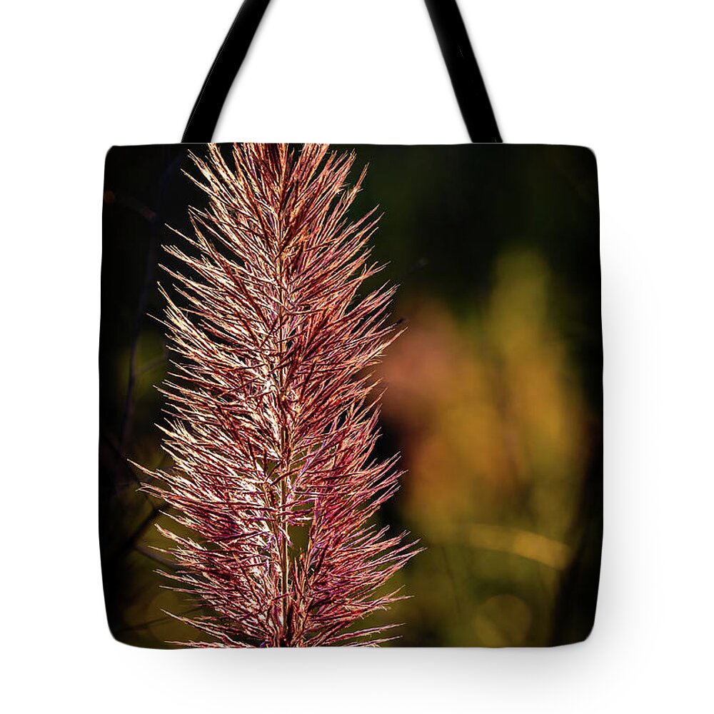 2021 Tote Bag featuring the photograph Swamp Grass by Charles Hite