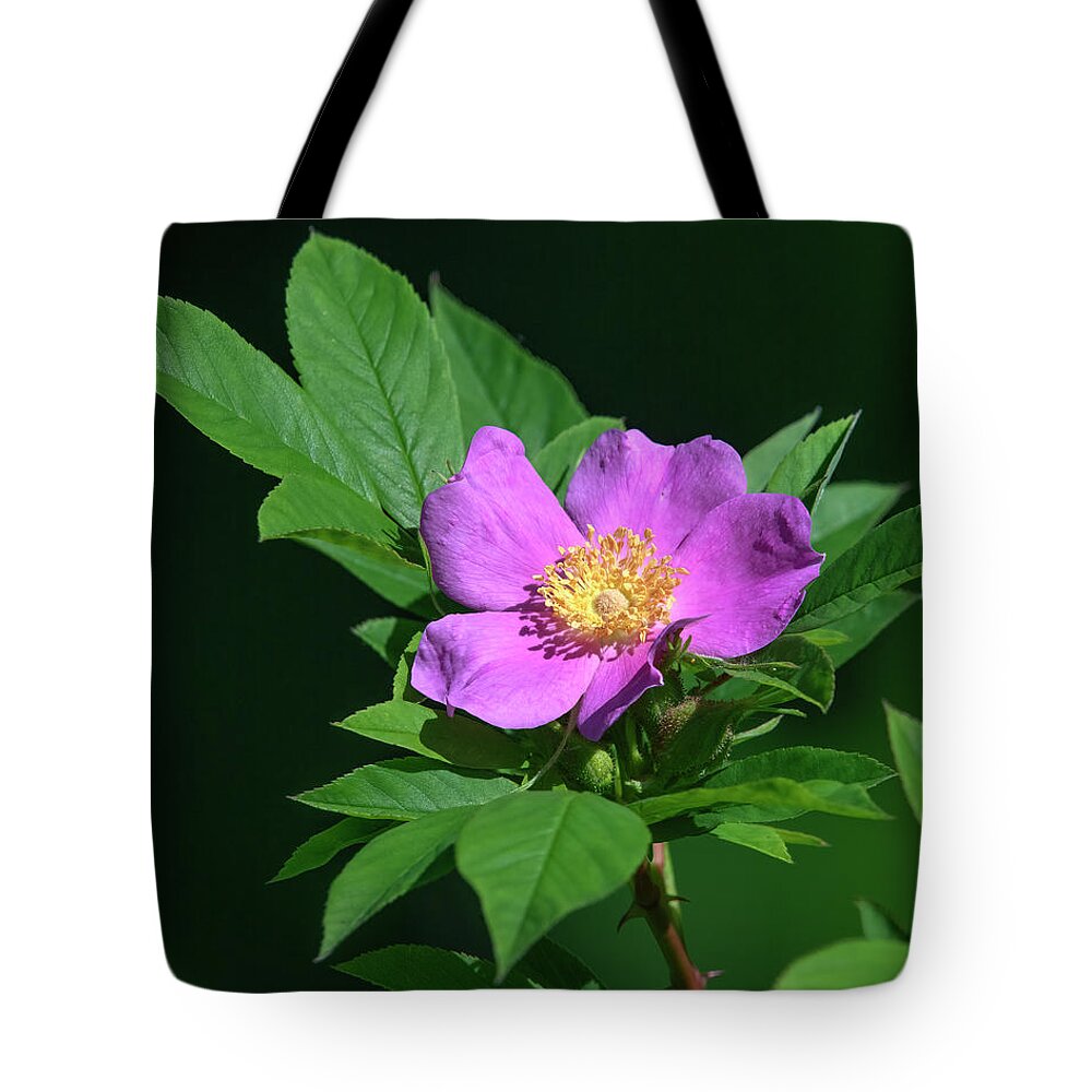 Nature Tote Bag featuring the photograph Swamp Rose DFL1080 by Gerry Gantt
