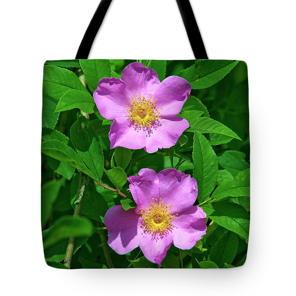 Nature Tote Bag featuring the photograph Swamp Roses Rosa palustris DSMF179 by Gerry Gantt