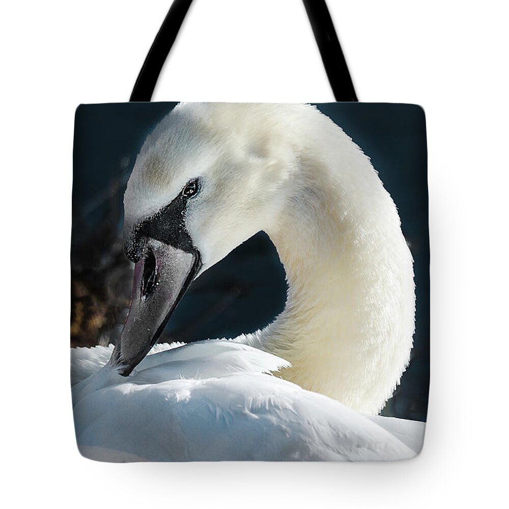 Swan Tote Bag featuring the photograph Swan by Joe Granita