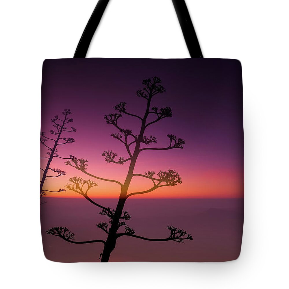 Agave Americana Tote Bag featuring the photograph Swan song of an Agave Americana by Gary Browne