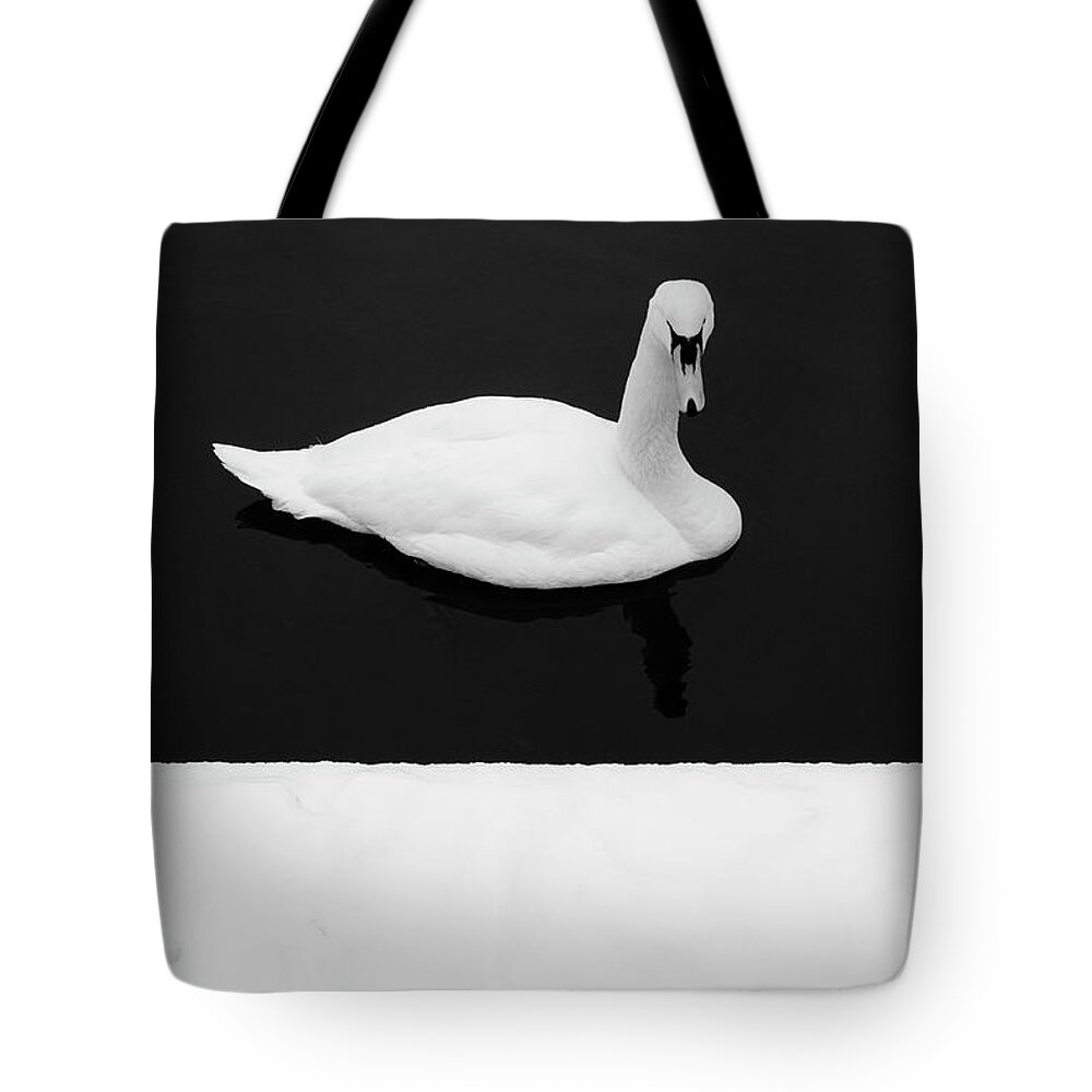 Black Tote Bag featuring the photograph Swan - Winter Minimalism by Martin Vorel Minimalist Photography