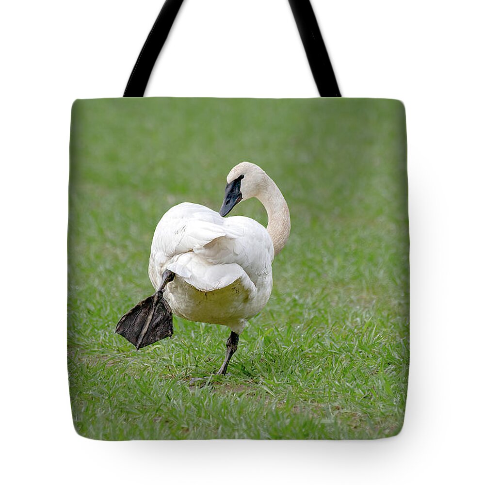 Swan Tote Bag featuring the photograph Swan Yoga by Jerry Cahill