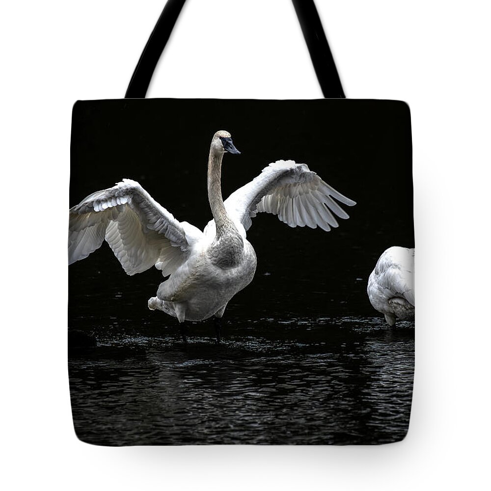 Swans Tote Bag featuring the photograph Swans on the Lake by Jerry Cahill