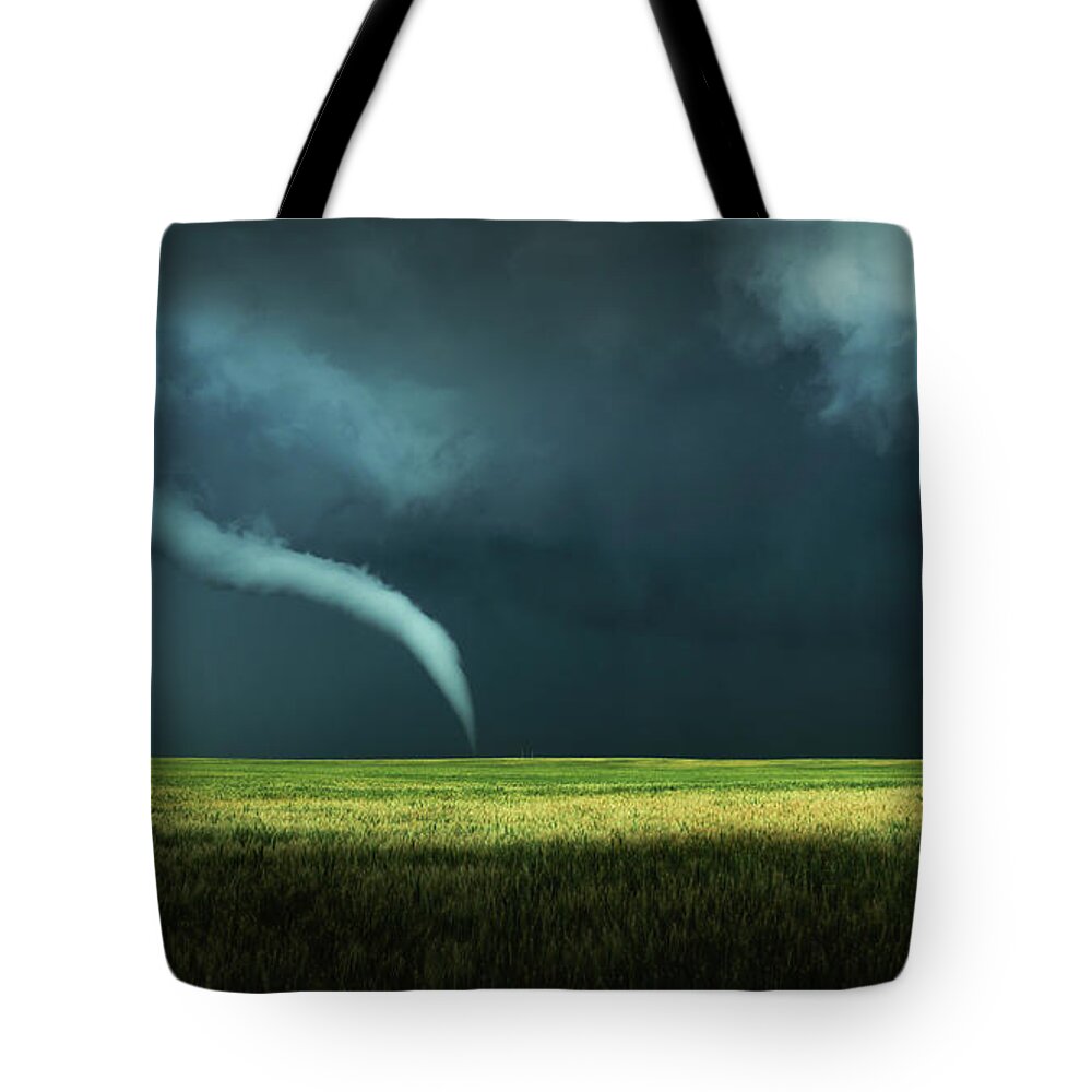 The Tote Bag featuring the photograph Sweeping Beauty by Brian Gustafson