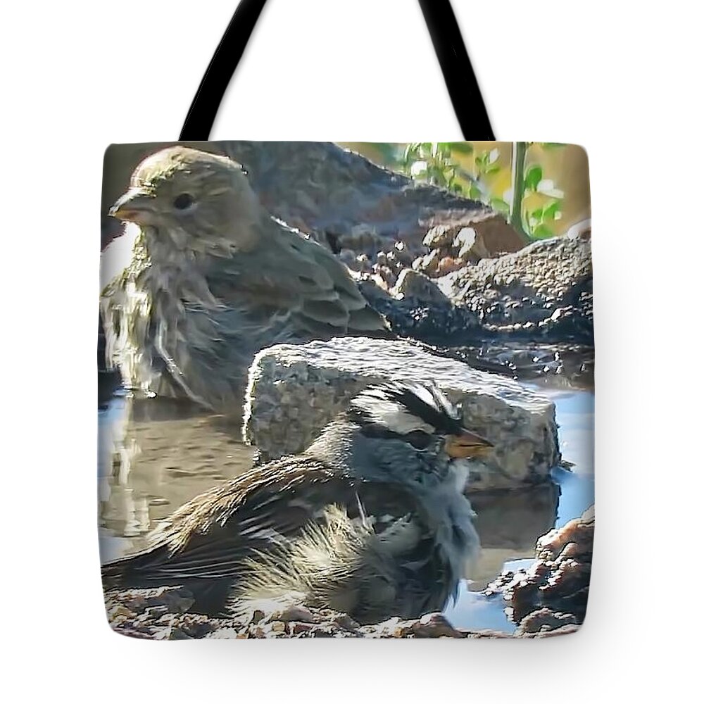 Affordable Tote Bag featuring the photograph Sweet Bathing Birds by Judy Kennedy