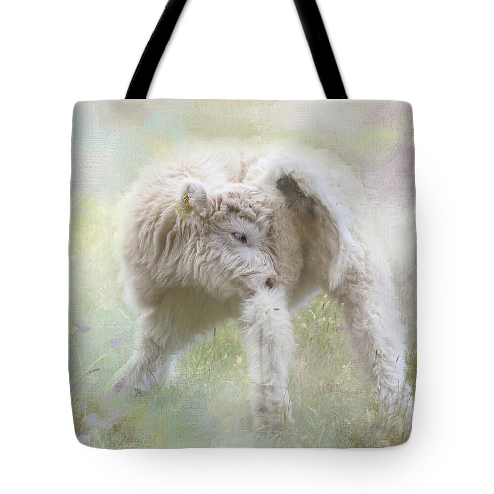 Highland Tote Bag featuring the photograph Sweet Highland Baby by Eva Lechner
