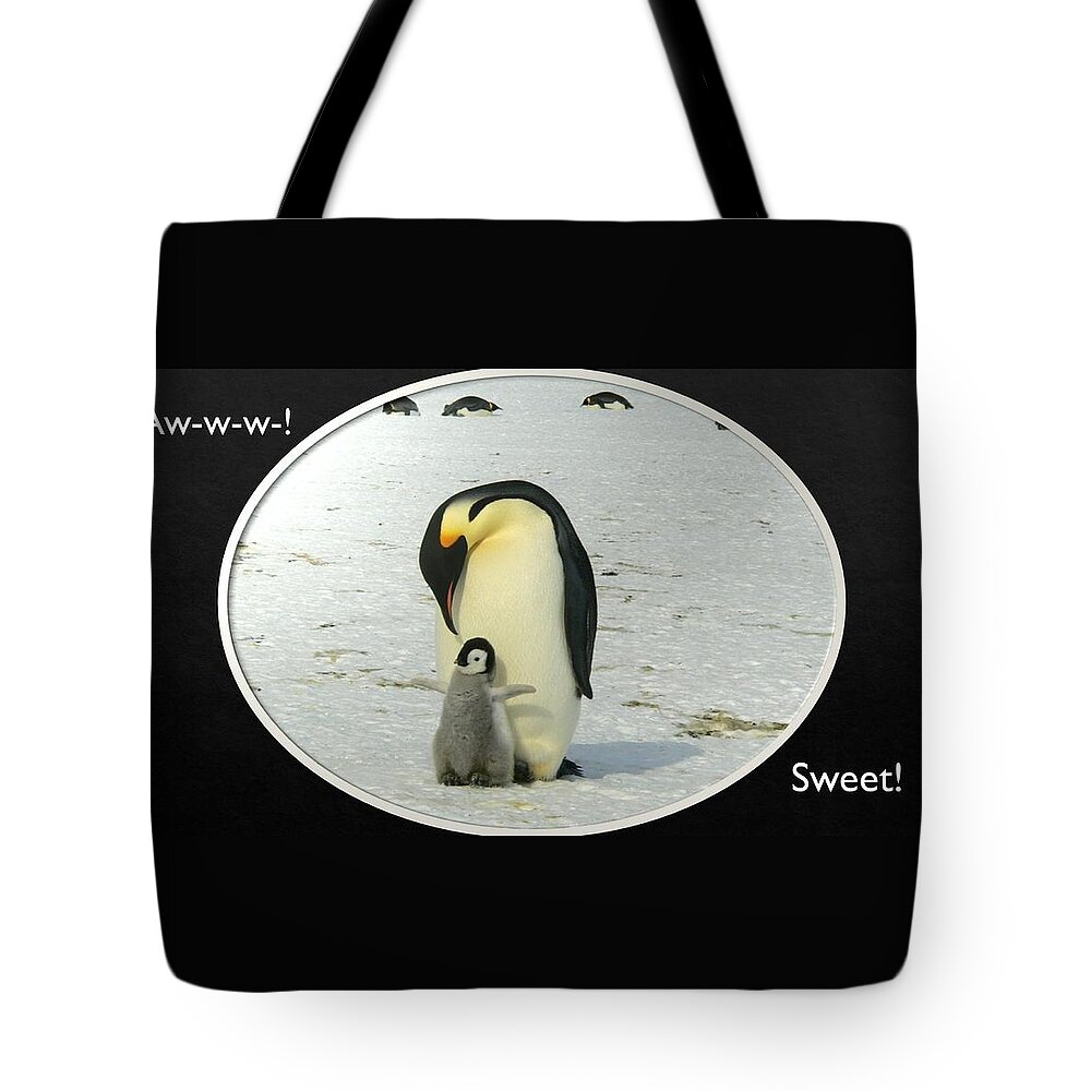 Penguins Tote Bag featuring the photograph Sweet Penguins by Nancy Ayanna Wyatt