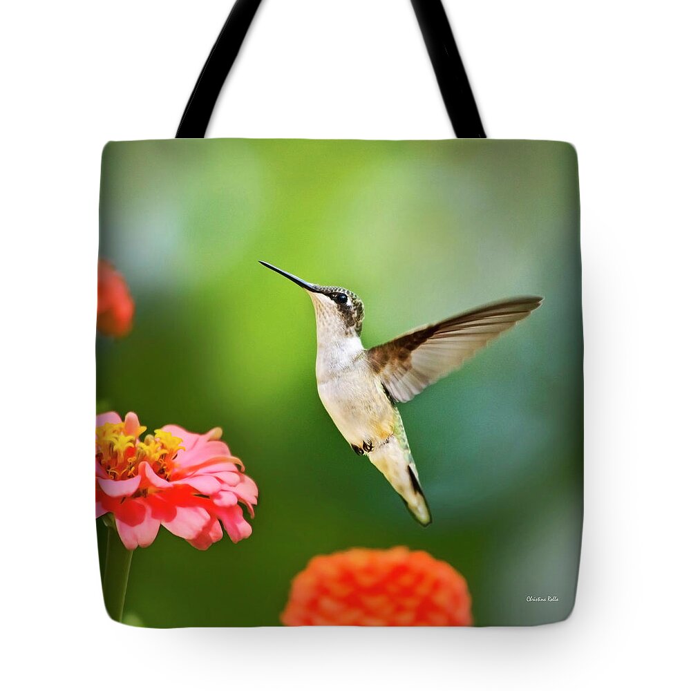Hummingbirds Tote Bag featuring the photograph Sweet Promise Hummingbird Square by Christina Rollo
