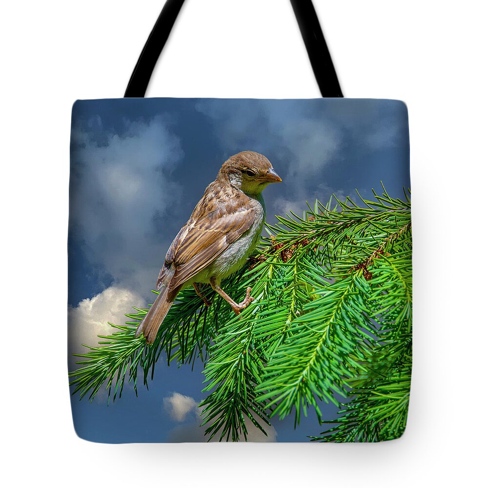 Bird Tote Bag featuring the photograph Sweet Sparrow by Cathy Kovarik