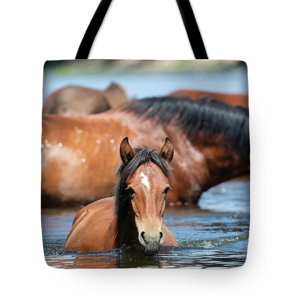 Salt River Wild Horses Tote Bag featuring the photograph Swim Time by Shannon Hastings