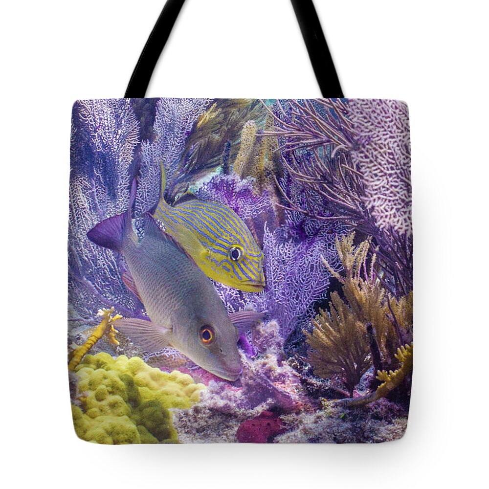 Animals Tote Bag featuring the photograph Swim WIth Me by Lynne Browne