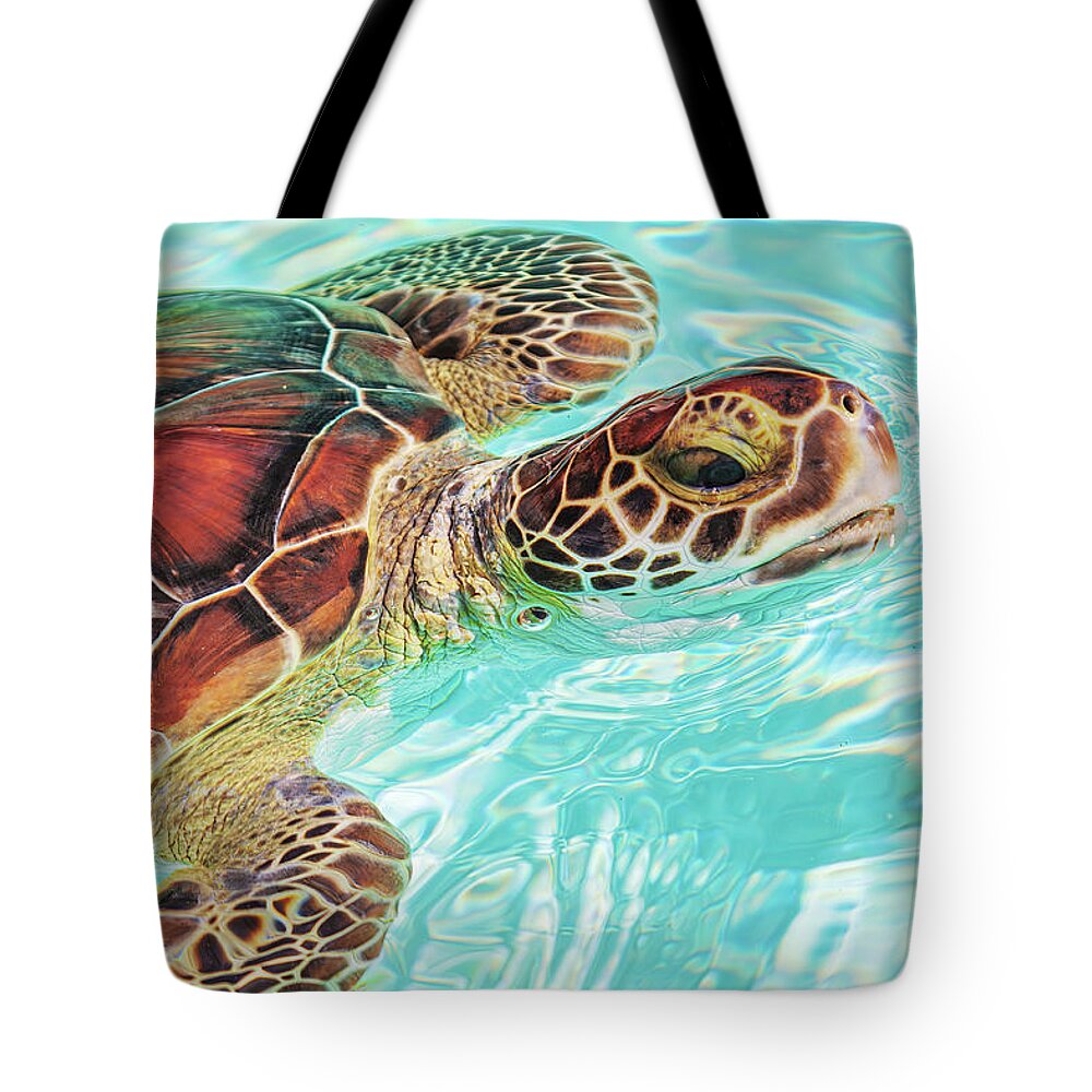 Turtle Tote Bag featuring the photograph Swimming turtle by Tatiana Travelways