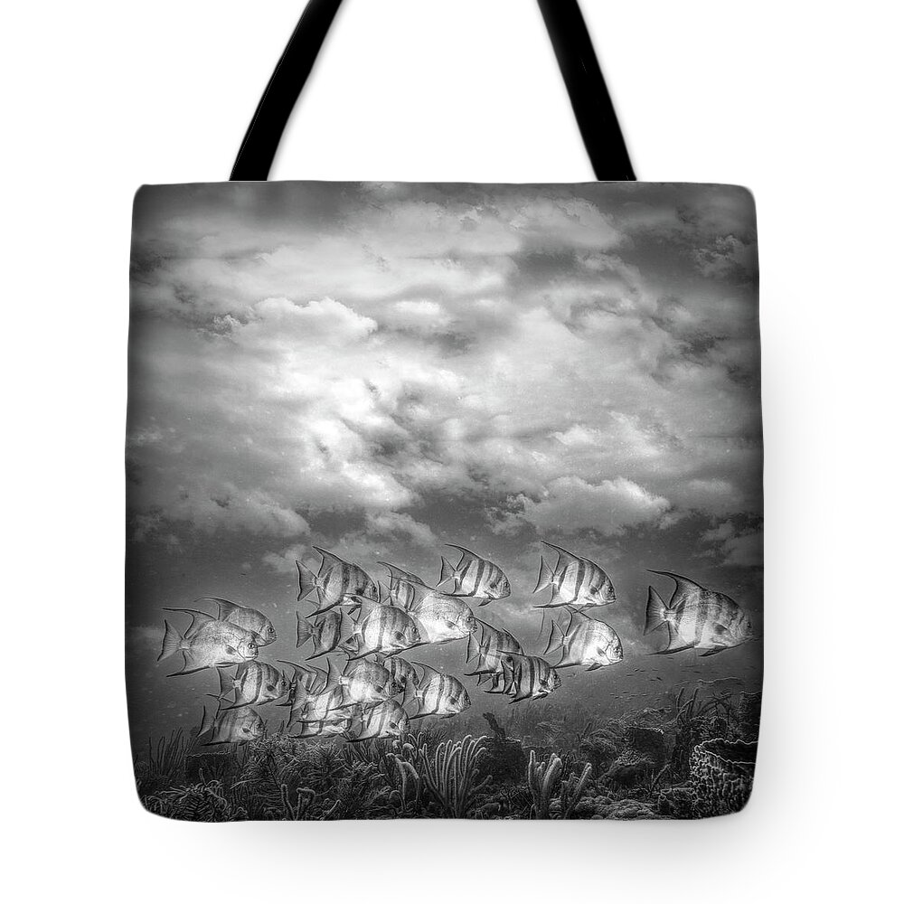 Clouds Tote Bag featuring the photograph Swimming under the Clouds in Black and White by Debra and Dave Vanderlaan