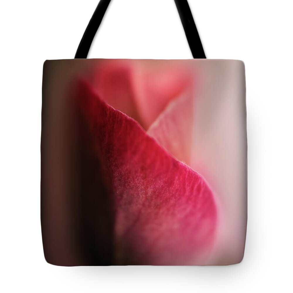 Photography Tote Bag featuring the digital art Sympathy Rose by Terry Davis