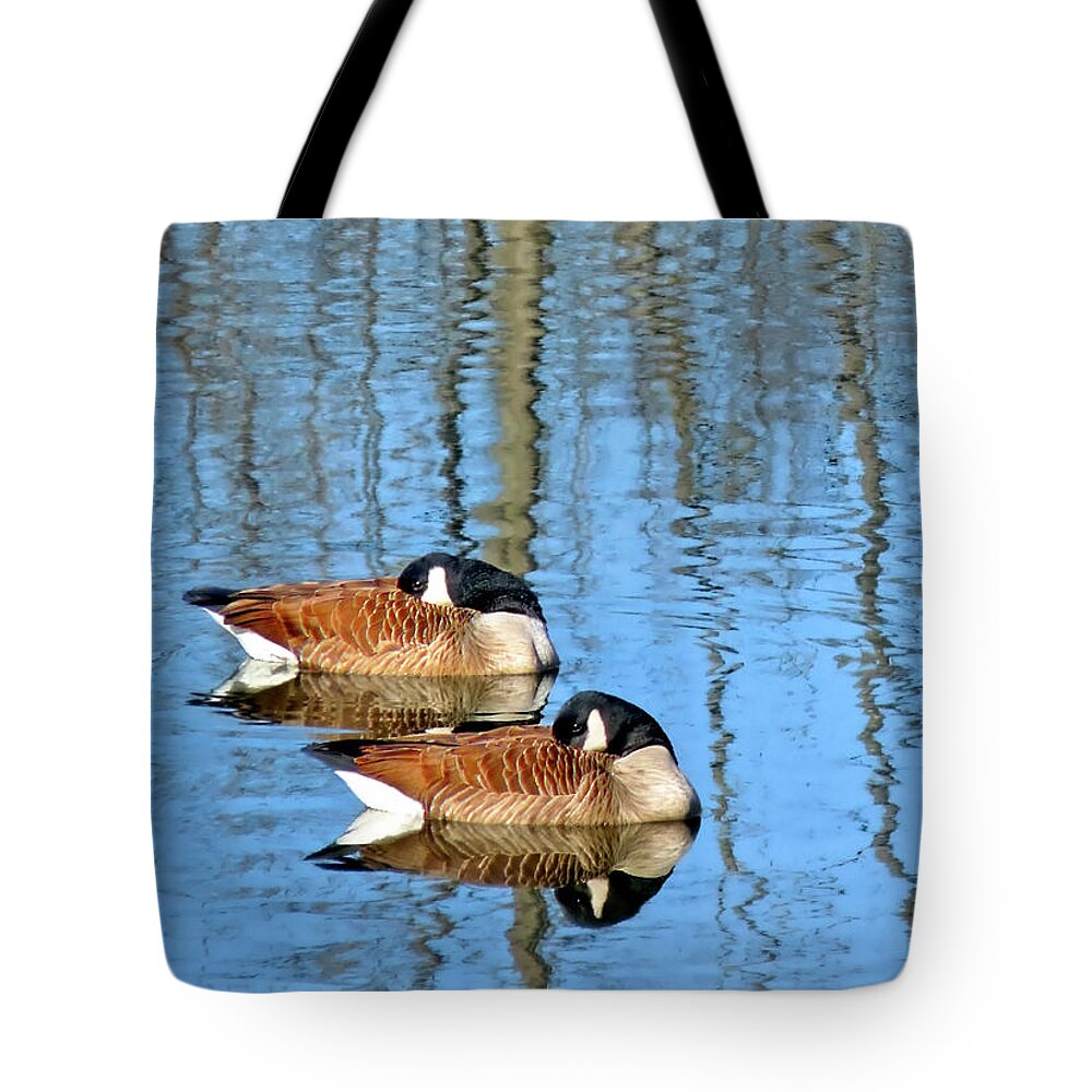 Synchronized Geese Tote Bag featuring the photograph Synchronized Geese by Carolyn Derstine