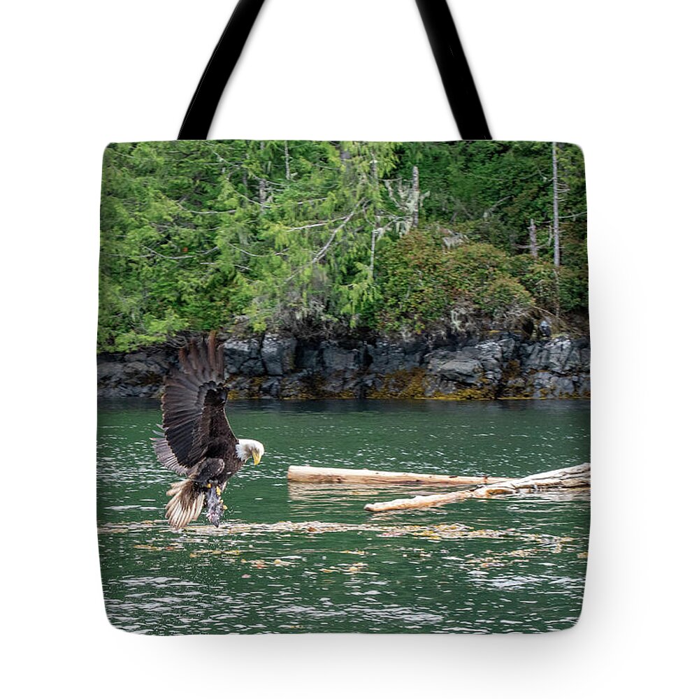 Bald Eagle Tote Bag featuring the photograph Take out by Canadart -