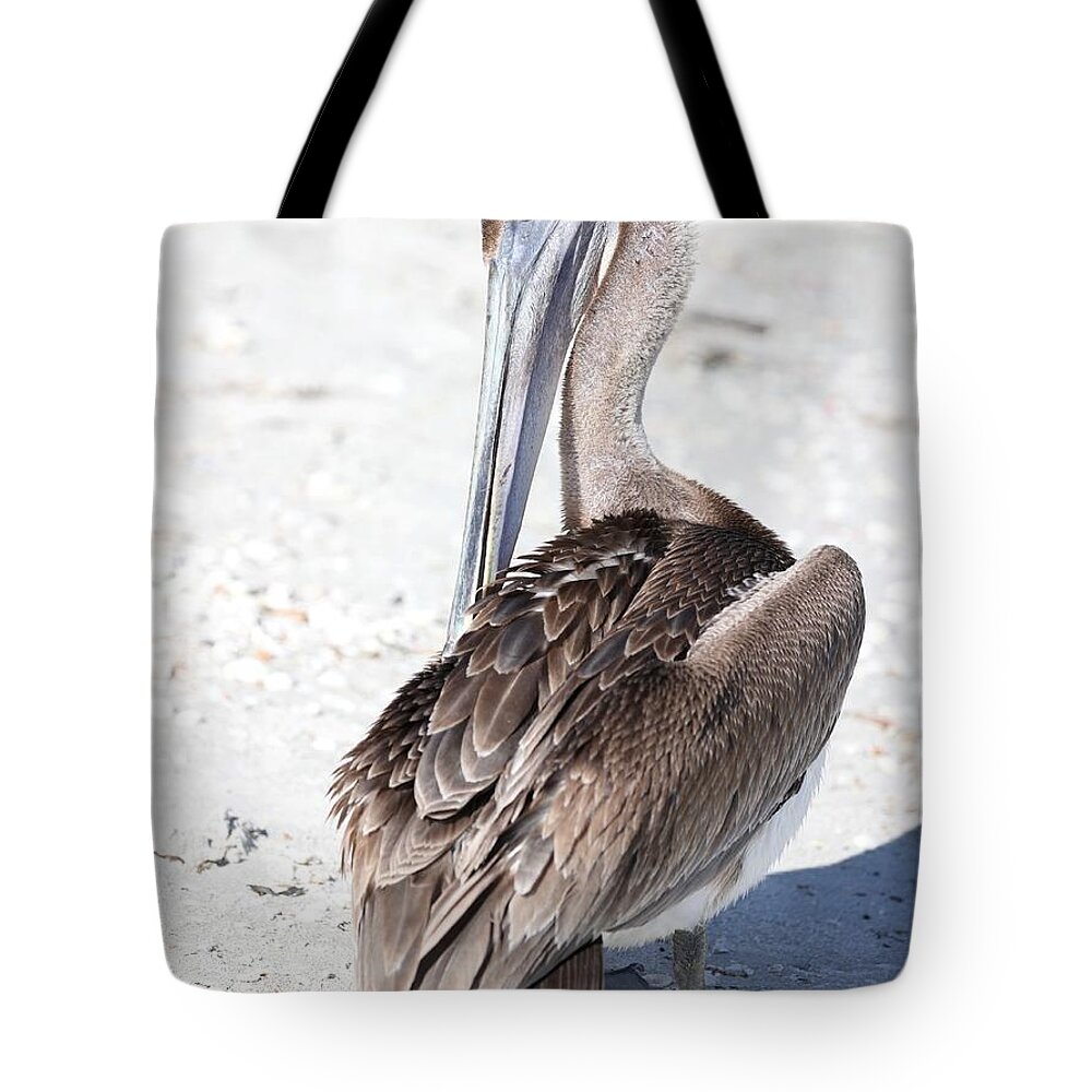 Pelicans Tote Bag featuring the photograph Close Up of Pelican by Mingming Jiang