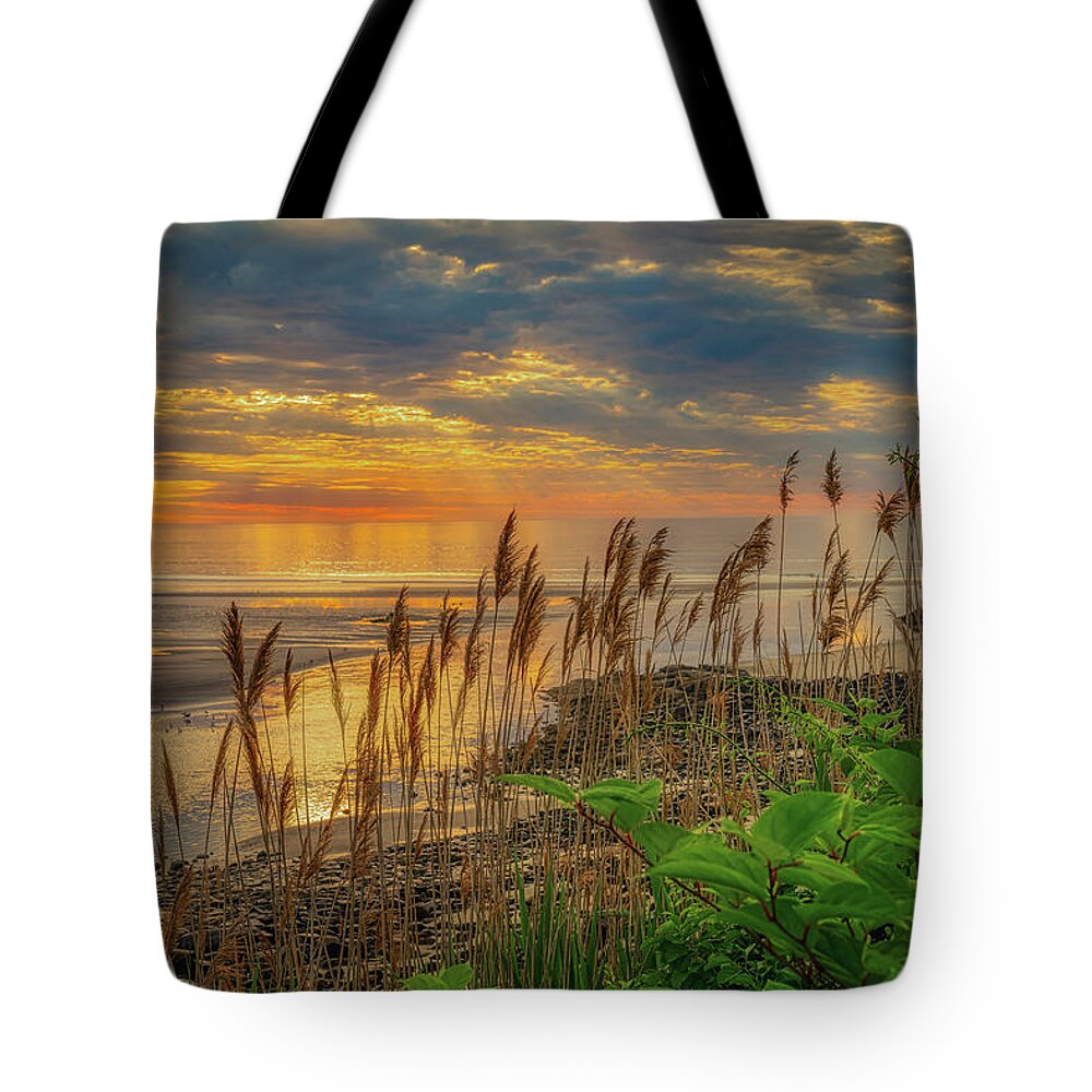 Reeds Tote Bag featuring the photograph Tall Grasses of Marginal Way by Penny Polakoff