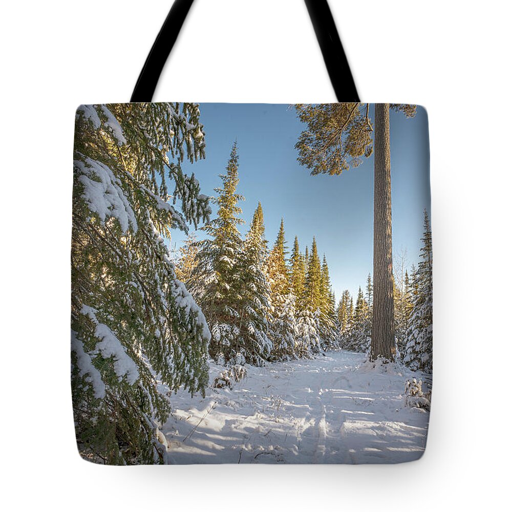 #winter #landscape #photograph #fine Art #door County #wisconsin #midwest #wall Décor #wall Art #hiking #walking #long Exposure #focus Stacking #hdr Photography #adventure #outside #environment #outdoor Lover #snow #ice #cold #snowshoeing # Cross Country Skiing   Tote Bag featuring the photograph Tall Trail by David Heilman