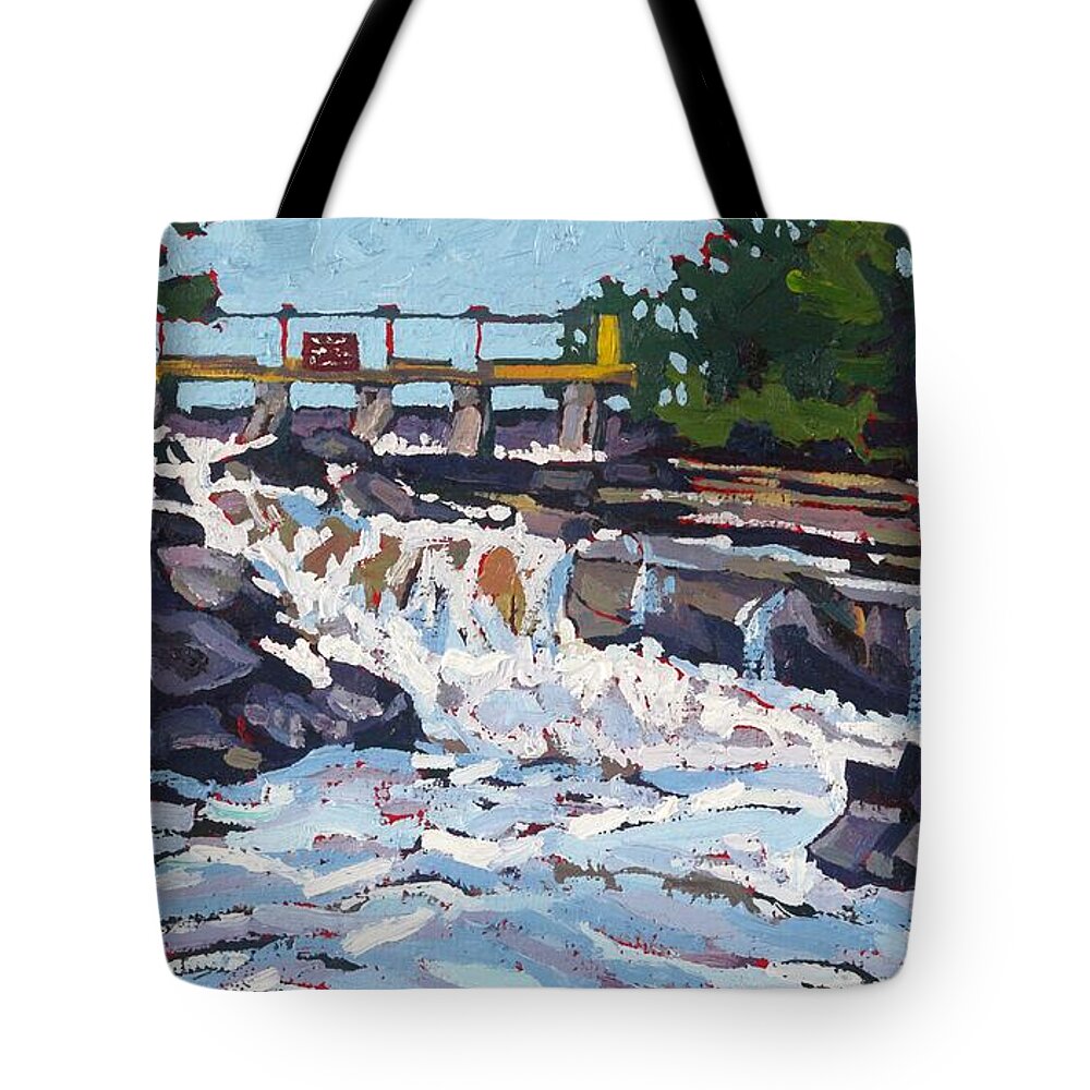 2394 Tote Bag featuring the painting Talon Chute by Phil Chadwick