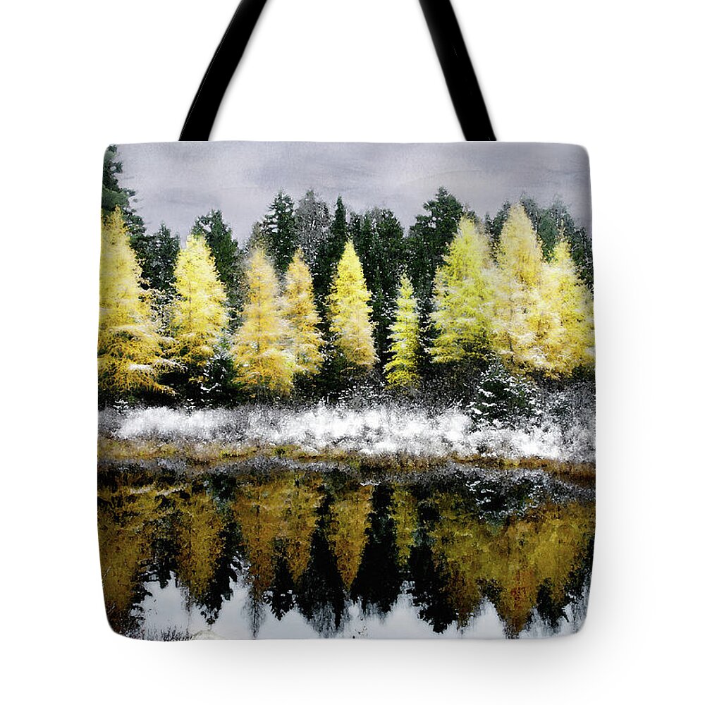 Snow Tote Bag featuring the photograph Tamarack Under a Painted Sky by Wayne King