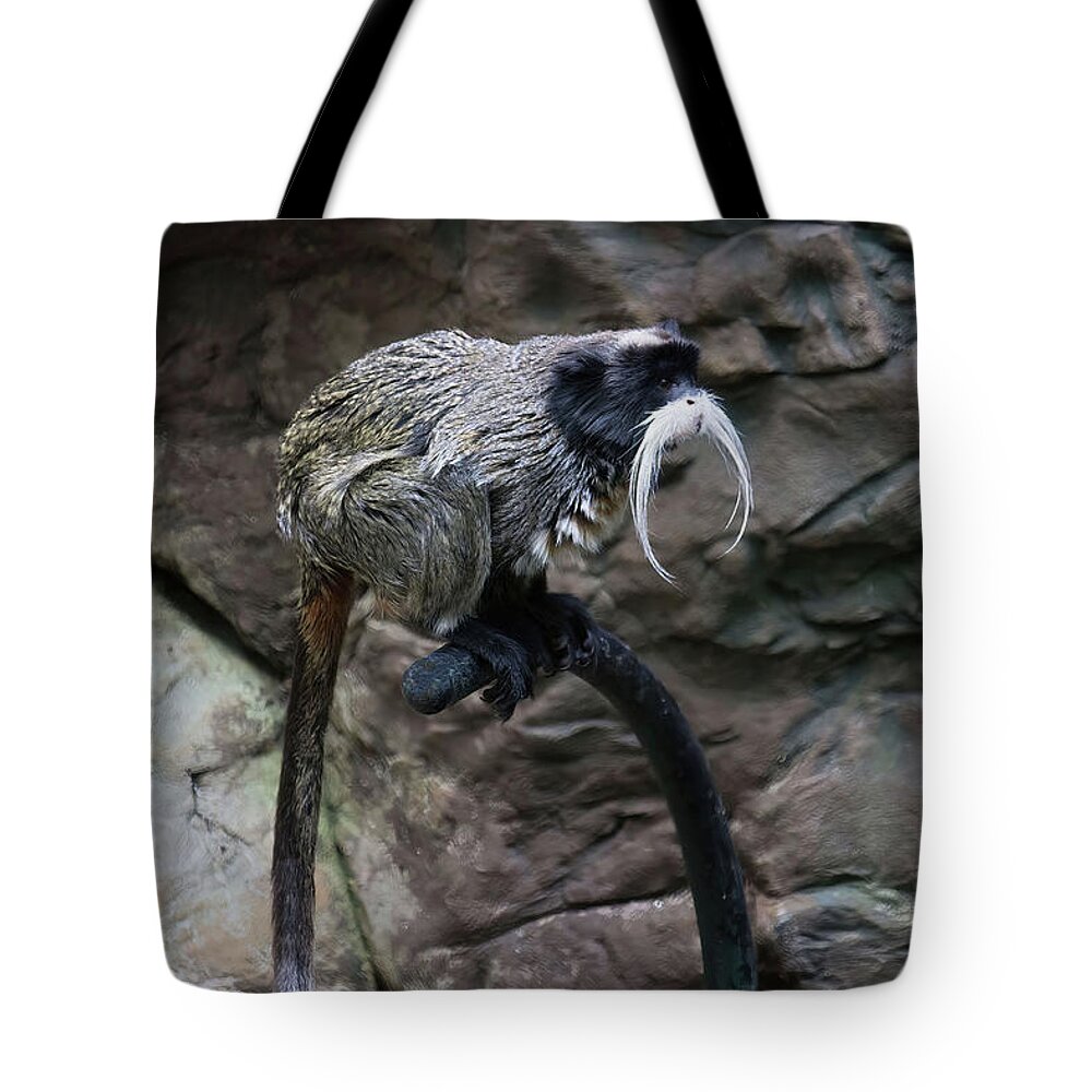 Tamarin Monkey Tote Bag featuring the photograph Tamarin Monkey by Roberta Byram