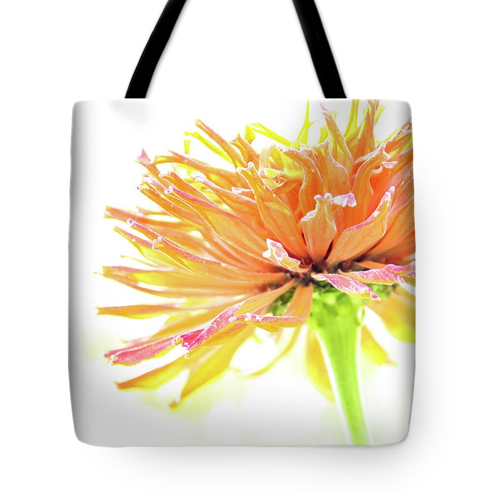 Tangerine Tote Bag featuring the photograph Tangerine Dream by Becqi Sherman